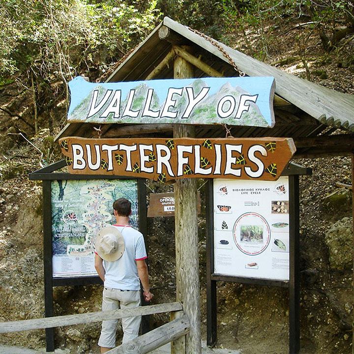Butterfly Valley