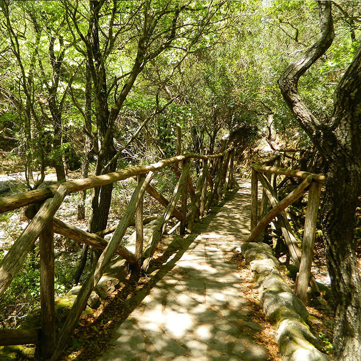 Butterfly Valley