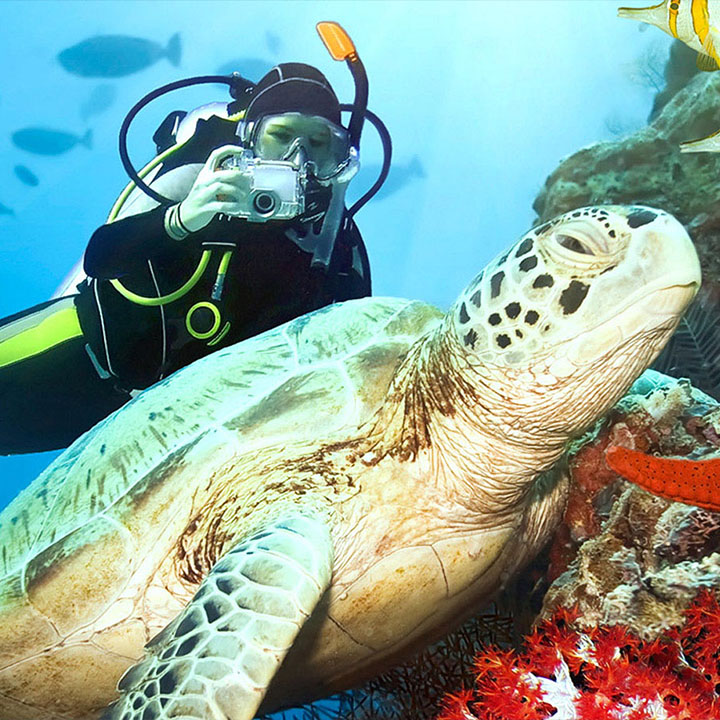 Scuba Diving in Kalithea Bay