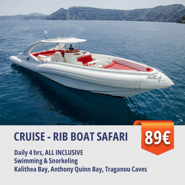 Cruise - rib boat safari