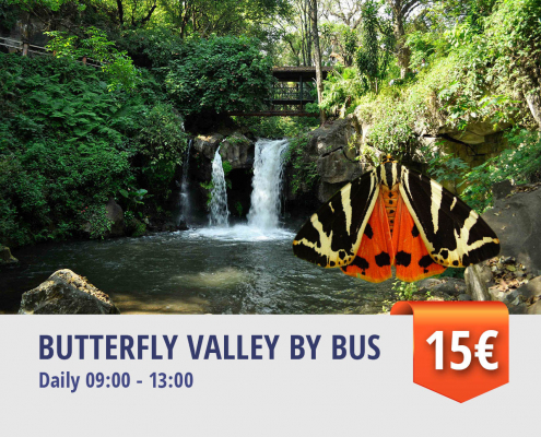 BUTTERFLY VALLEY