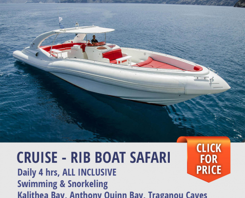 Cruise - rib boat safari