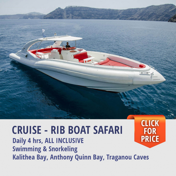 Cruise - rib boat safari